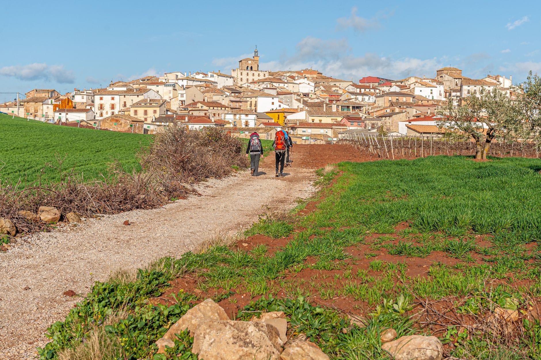Santiago de Compostela – jak zaplanować pielgrzymkę Camino de Santiago krok po kroku Dwóch pielgrzymów z plecakami idzie do wioski w Hiszpanii w słoneczny dzień